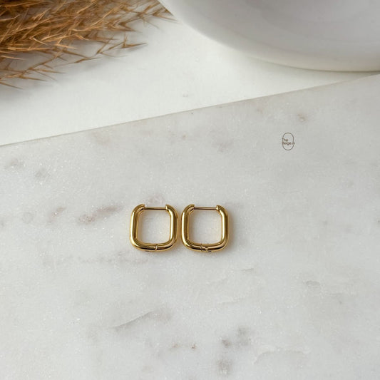 Rein Hoop