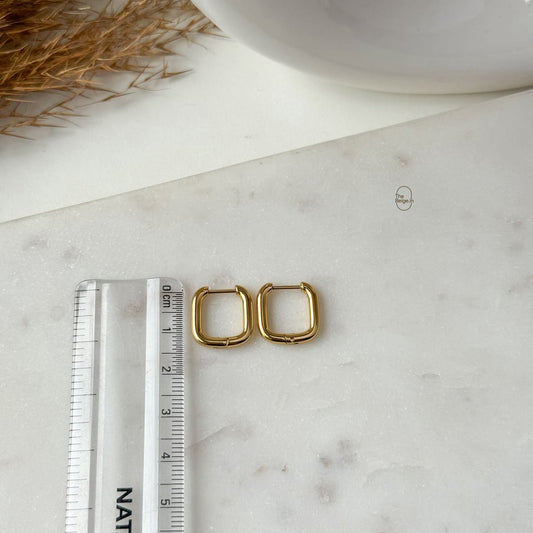 Rein Hoop